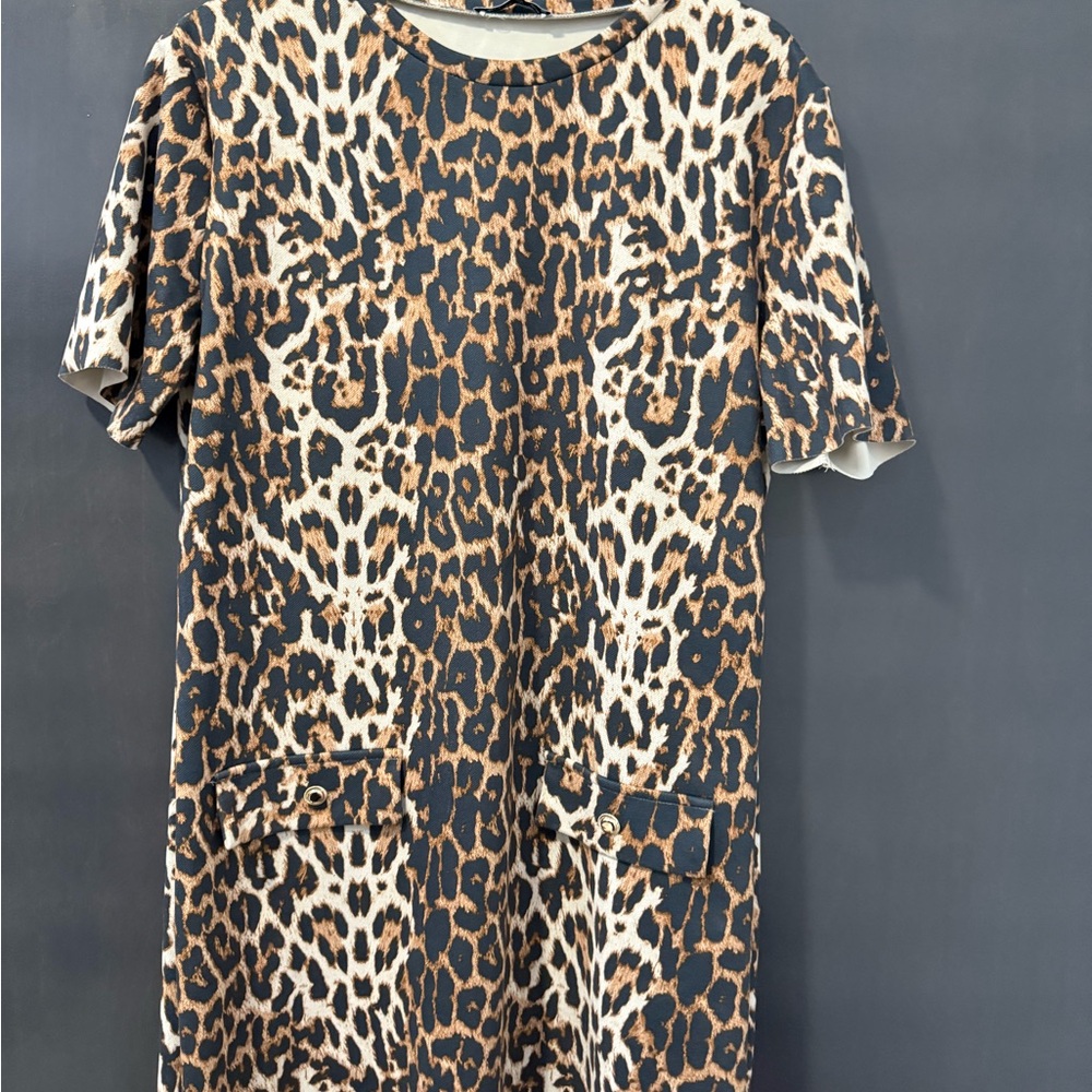 Zara Animal Print Dress